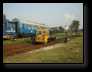 [bus_vlak022.jpg]